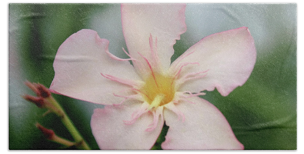 Oleander Bath Towel featuring the photograph Oleander Agnes Campbell by Wilhelm Hufnagl