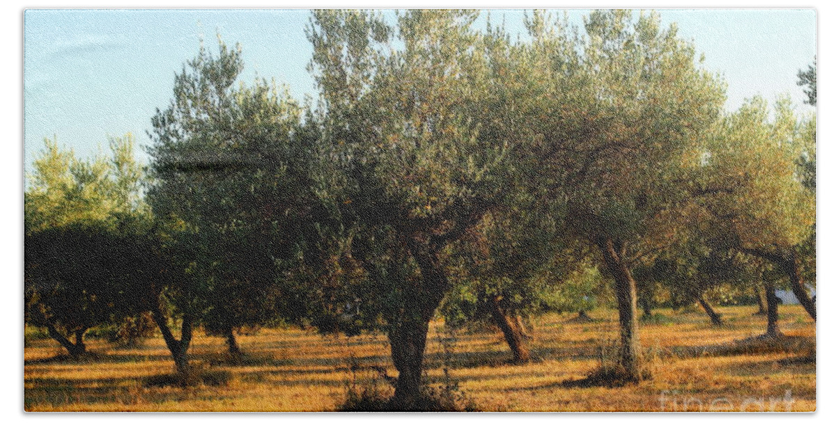 Symbol Bath Towel featuring the photograph Olive Grove by Angela Rath