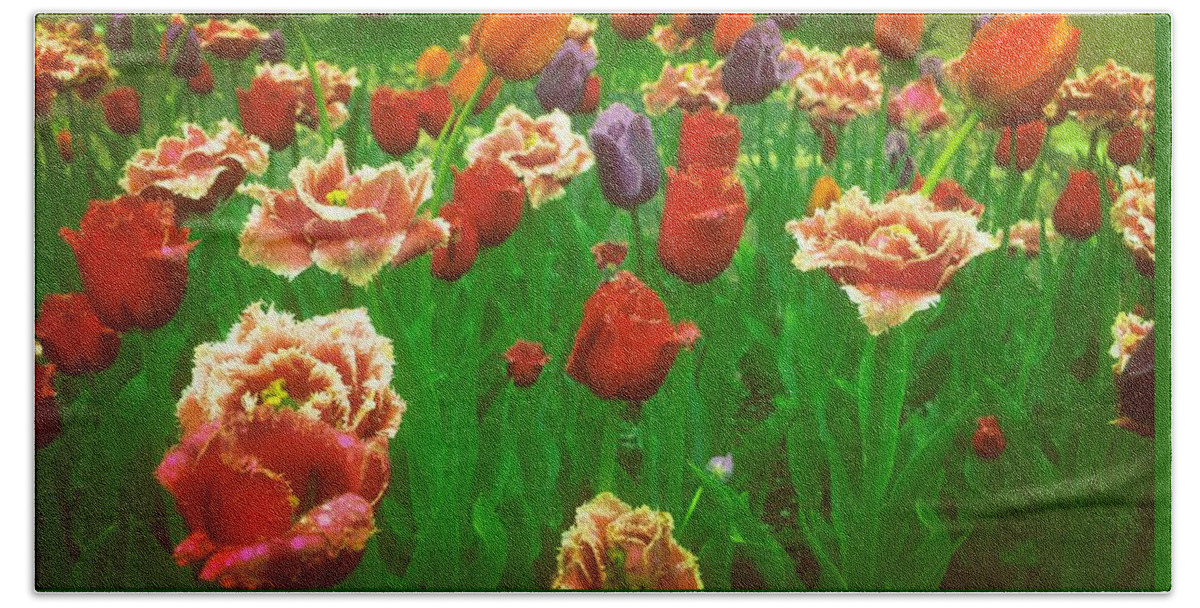 Tulips Bath Towel featuring the photograph On a Bed of Green by Michelle Calkins