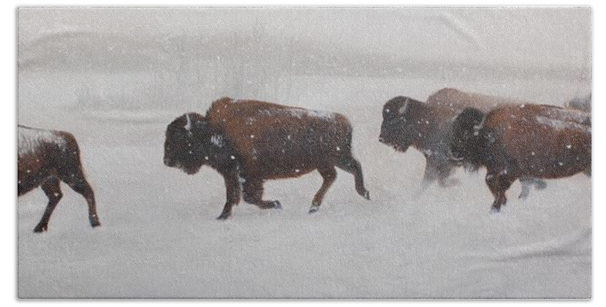 Buffalo Bath Towel featuring the painting On The Move by Tammy Taylor