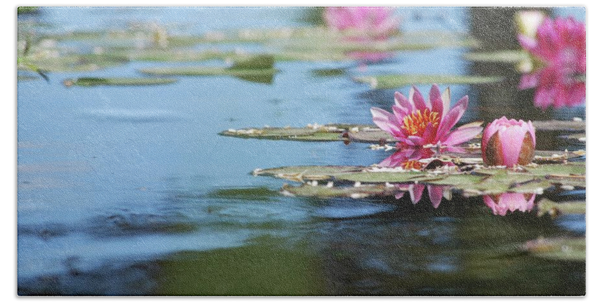 Lily Pond Hand Towel featuring the photograph On the Pond by Amee Cave