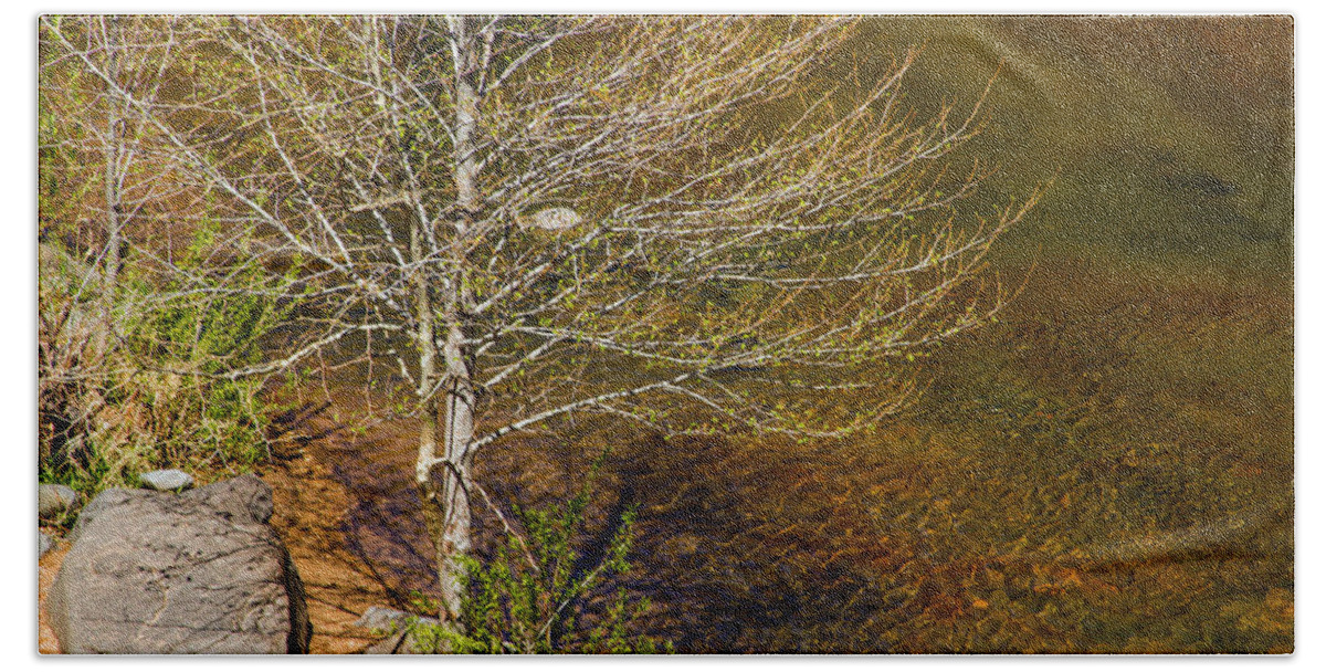 On The Shores Of Oak Creek Bath Towel featuring the photograph On the Shores of Oak Creek by Bonnie Follett