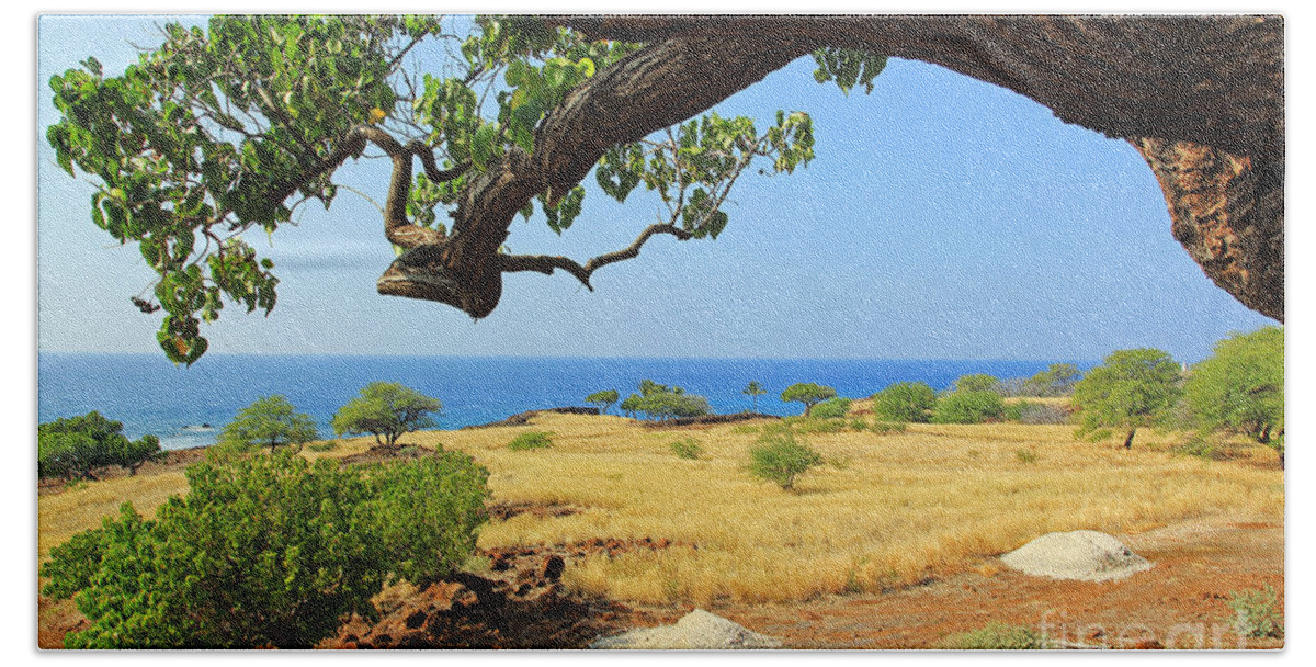 Lapakahi State Historical Park Bath Towel featuring the photograph On the Way to Lapakahi by Jennifer Robin