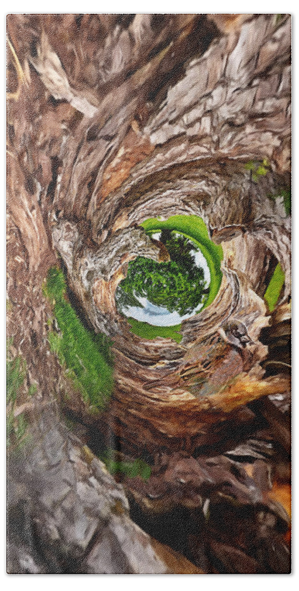 Tree Bath Towel featuring the photograph Once A Tree by Pennie McCracken