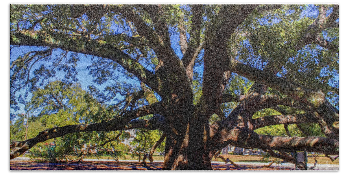 Tree Bath Towel featuring the photograph One Friendship Tree by Roberta Byram