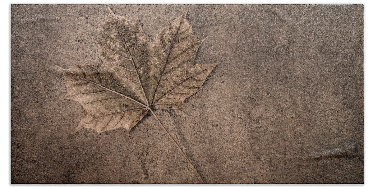 Scott Norris Photography Bath Sheet featuring the photograph One Leaf December 1st by Scott Norris
