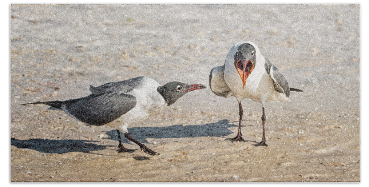 Laughing Gulls Bath Towel featuring the photograph Open Up and Say Ahhh by Peg Runyan
