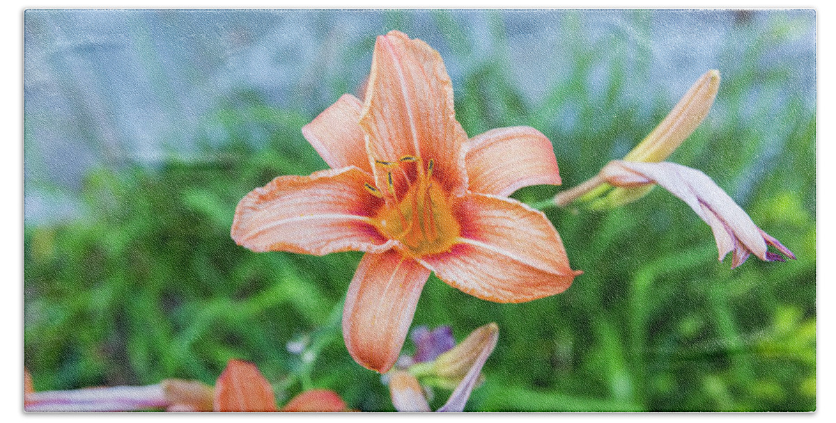 Flower Bath Towel featuring the photograph Orange Daylily by D K Wall