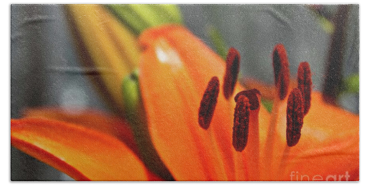 Orange Bath Towel featuring the photograph Orange Lily Close Up by Ms Judi
