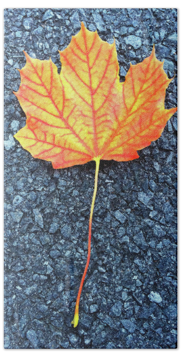 Maple Bath Towel featuring the photograph Orange maple leaf by GoodMood Art