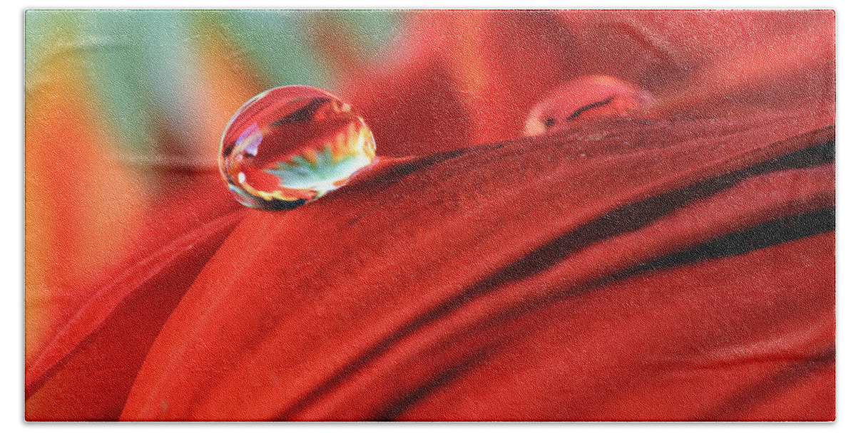 Macro Hand Towel featuring the photograph Orange Petals and Water Drops by Angela Murdock