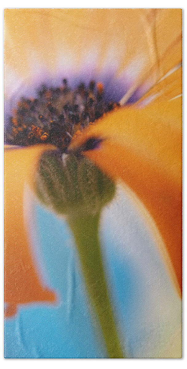 Flowers Bath Towel featuring the photograph Orange Symphony Blues by Dorothy Lee