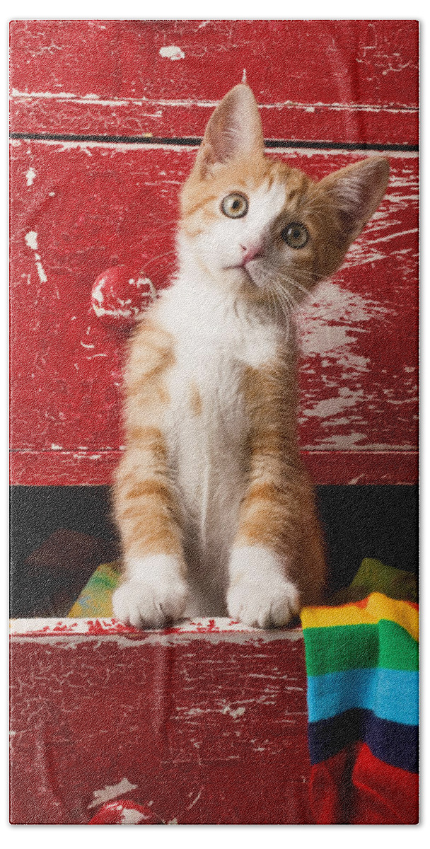 Kitten Hand Towel featuring the photograph Orange tabby kitten in red drawer by Garry Gay