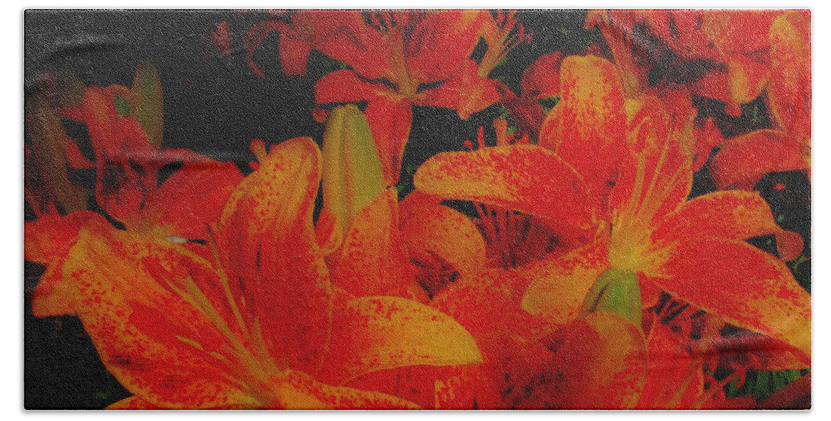 Orange And Black Hand Towel featuring the photograph Spicey Tiger Lilies by Sharon Ackley