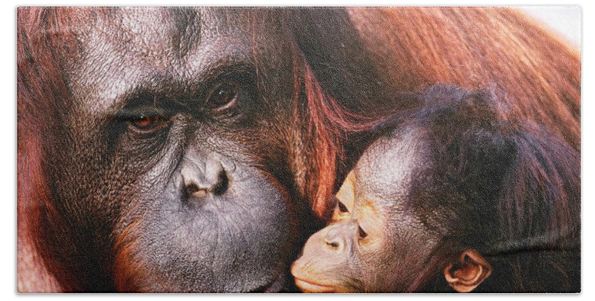 Orangutan Bath Towel featuring the photograph Orangutan by Jackie Russo
