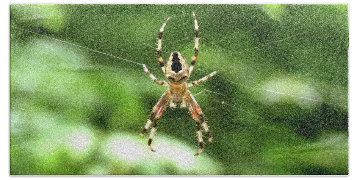 Spider Bath Towel featuring the photograph Orb Weaver by Azthet Photography