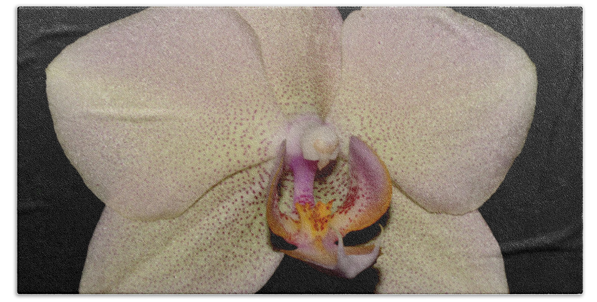 Nature Bath Towel featuring the photograph Orchid 2016 2 by Robert Morin