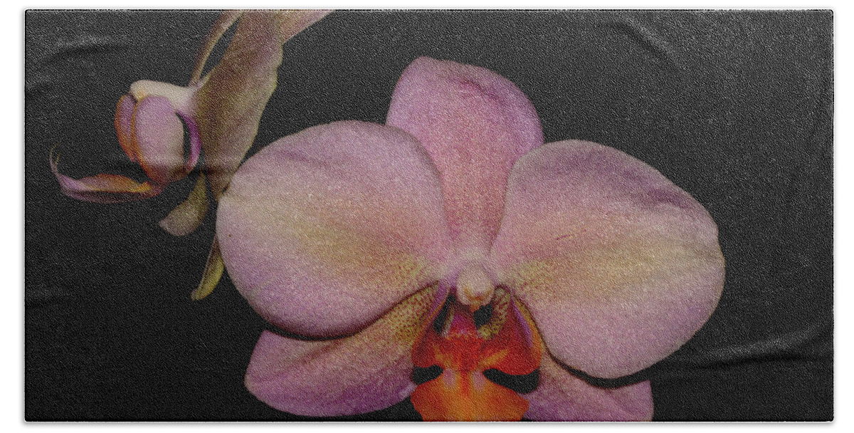 Nature Bath Towel featuring the photograph Orchid 2016 3 by Robert Morin
