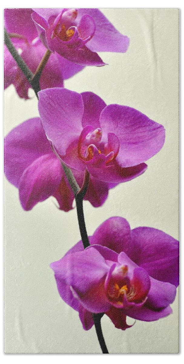 Orchid Hand Towel featuring the photograph Orchid 26 by Marty Koch