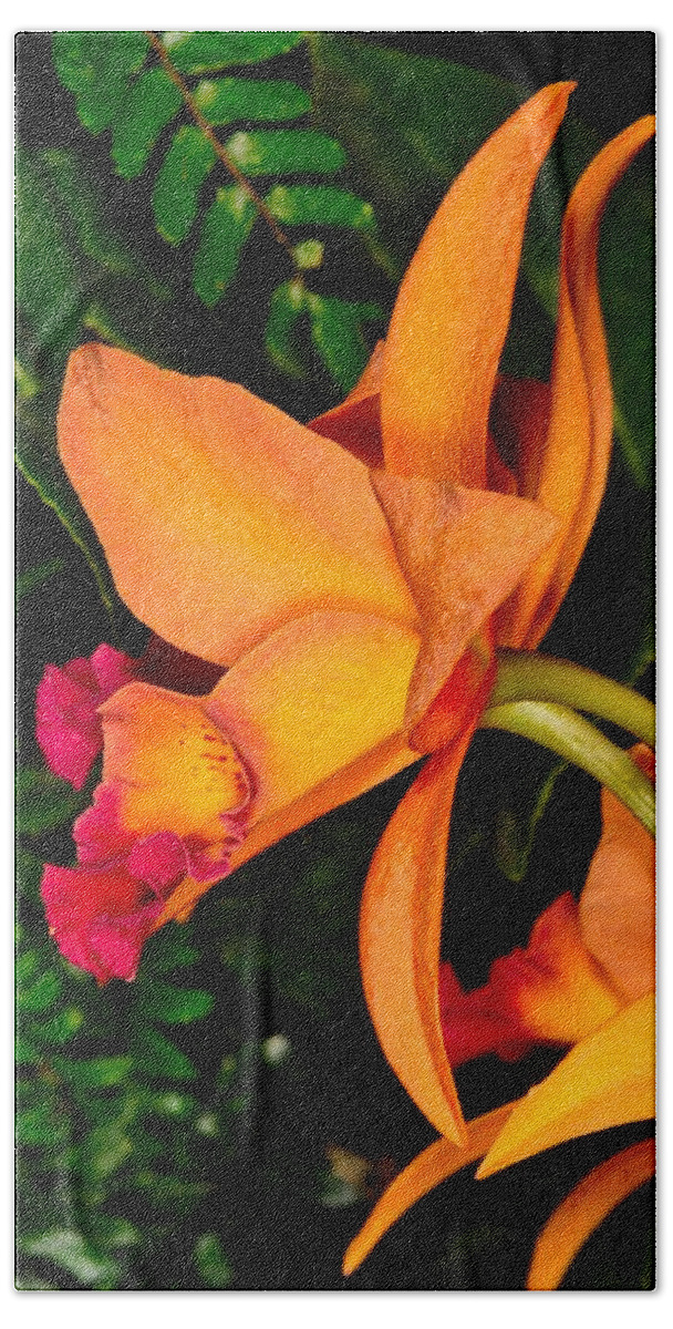 Orchid Hand Towel featuring the photograph Orchid 355 by Wesley Elsberry
