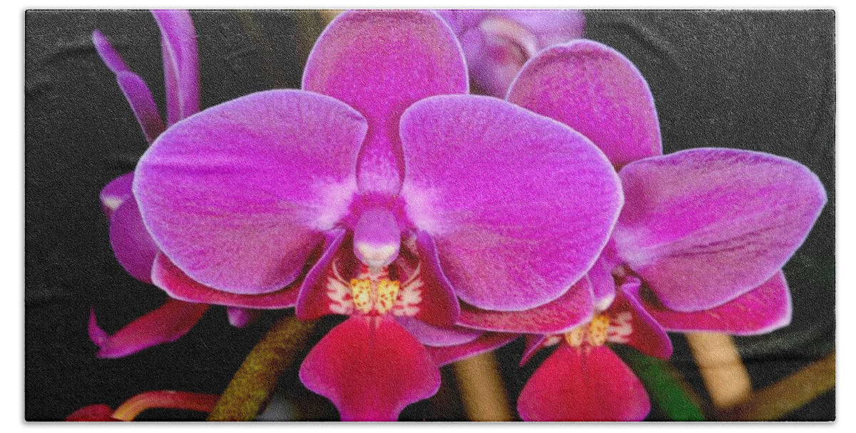 Orchid Hand Towel featuring the photograph Orchid 422 by Wesley Elsberry