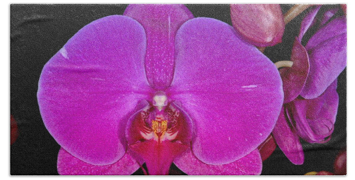 Flower Hand Towel featuring the photograph Orchid 424 by Wesley Elsberry