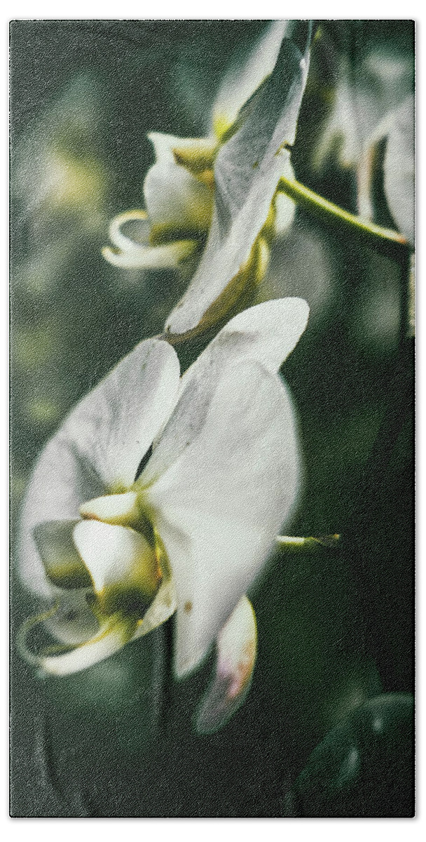 Orchid Bath Towel featuring the photograph Orchid Art by Scott Wyatt