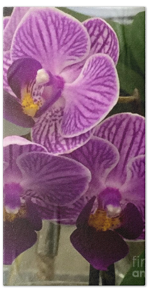 Landscape Hand Towel featuring the photograph Orchid Delight by Nona Kumah