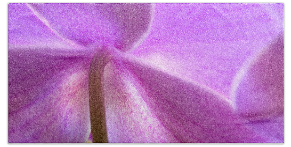 Phalaenopsis Orchid Hand Towel featuring the photograph Orchid by George Robinson