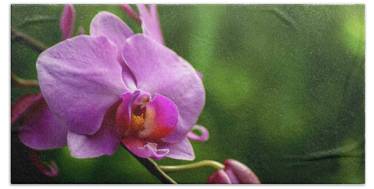 Orchid Hand Towel featuring the photograph Orchid by Holly Ross