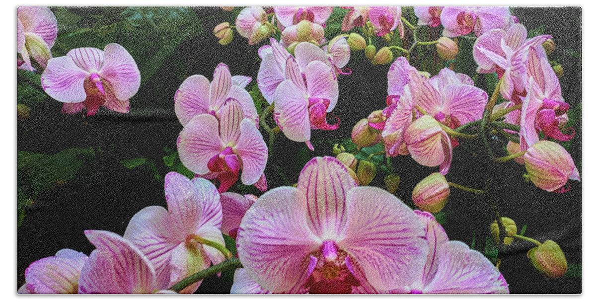 Orchid Bath Towel featuring the photograph Orchid Parade by Steve Ondrus