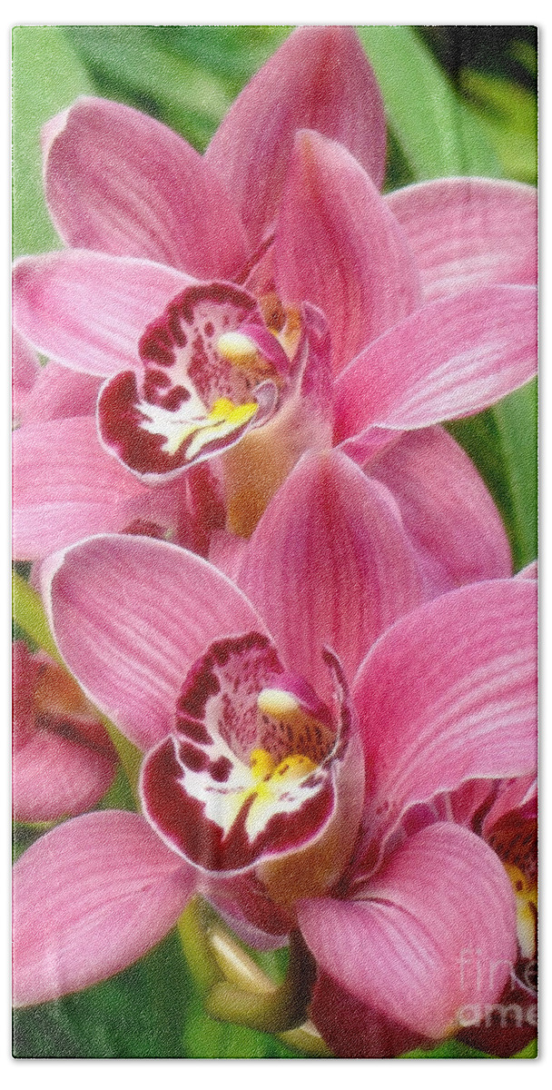 Orchids Bath Towel featuring the photograph Orchid Twins Up Close by Sue Melvin