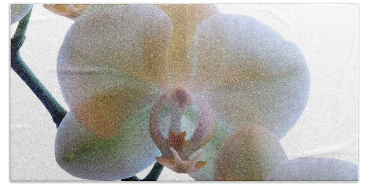 Flower Bath Towel featuring the photograph Orchids 3 by Mike McGlothlen