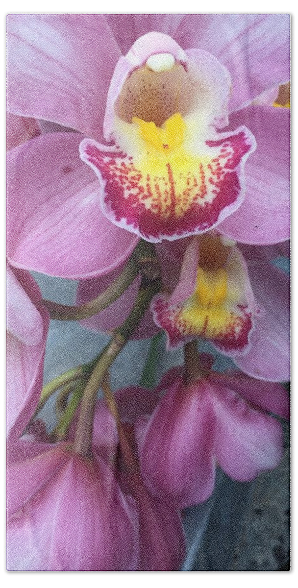 Orchid Hand Towel featuring the photograph Orchids at Biltmore by Thomas Hamm