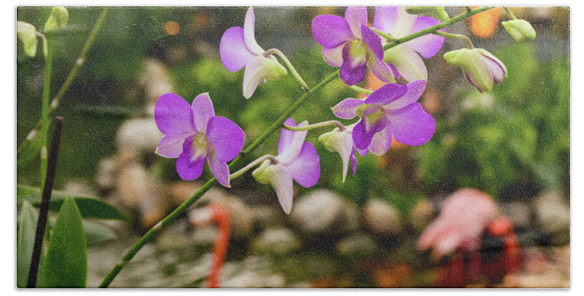 Orchid Bath Towel featuring the photograph Orchids in Paradise by Nicole Lloyd