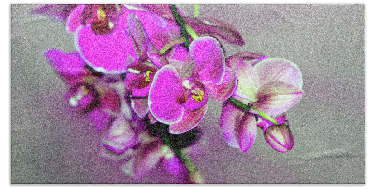 Beautiful Hand Towel featuring the photograph Orchids On Gray by Ann Bridges