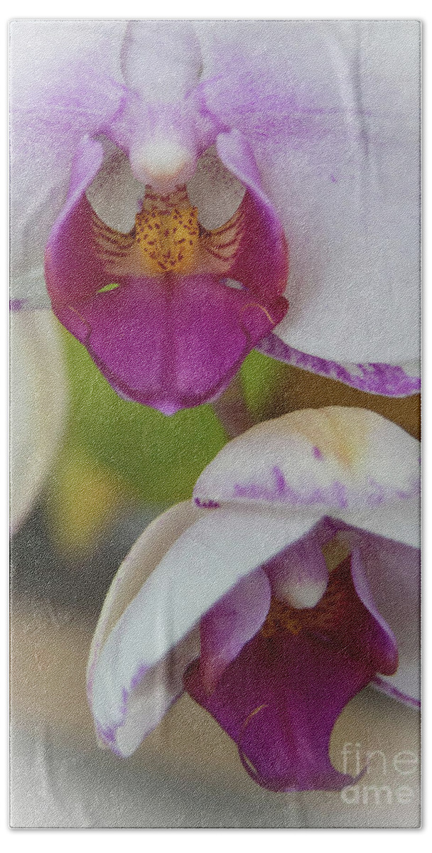 Orchids Bath Towel featuring the photograph Orchids Up Close by Judy Hall-Folde