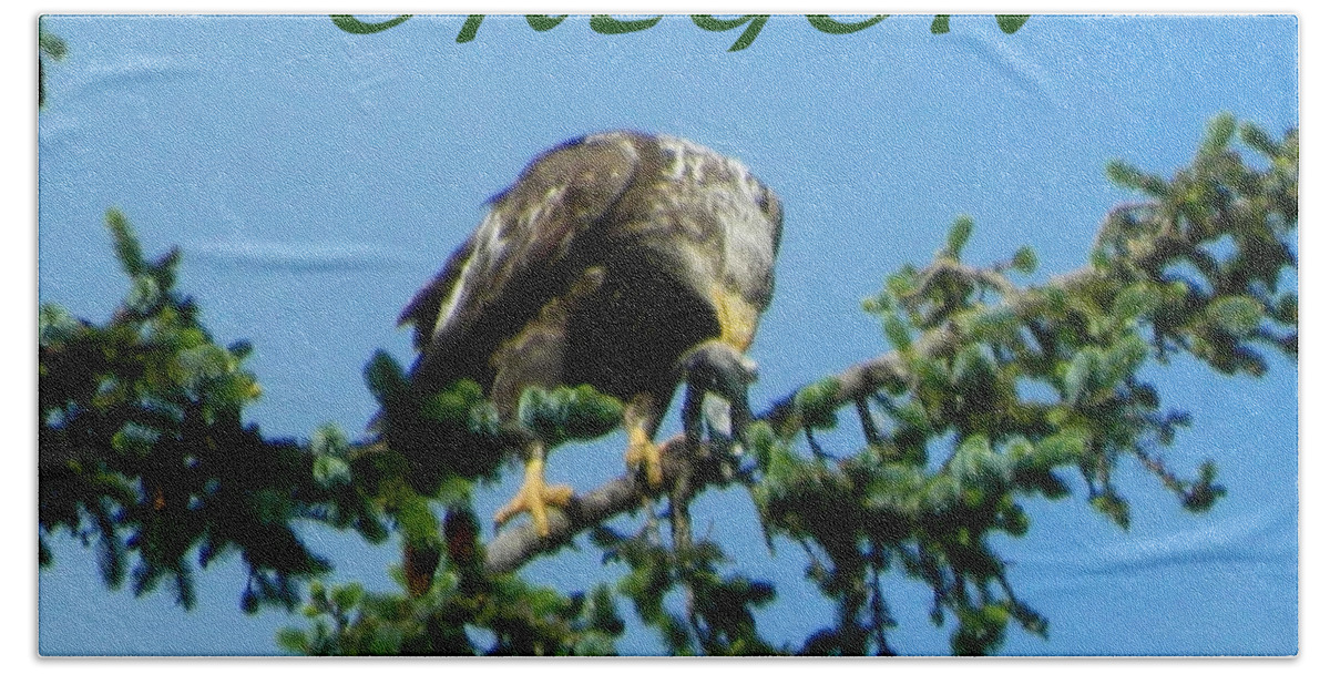 Eagles Bath Towel featuring the photograph Oregon Eagle with Bird by Gallery Of Hope 