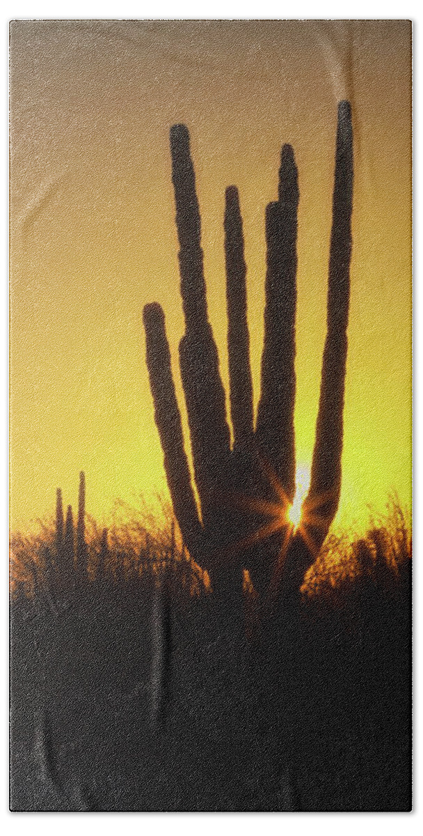 Organ Pipe Hand Towel featuring the photograph Organ Pipe cactus by Tatiana Travelways