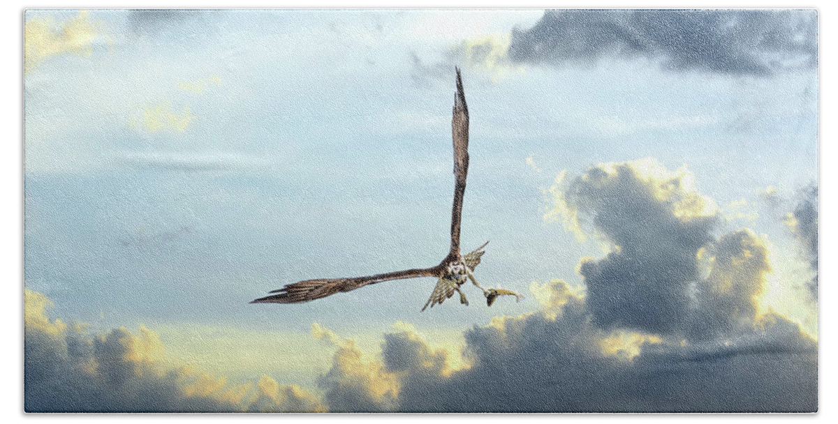 Osprey Bath Towel featuring the photograph Osprey flying in clouds at sunset with fish in talons by Patrick Wolf