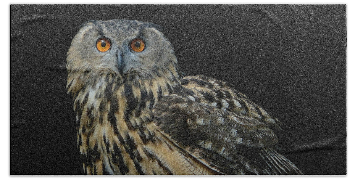 Eurasian Eagle Owl Bath Towel featuring the photograph Out Of The Darkness 2 by Fraida Gutovich