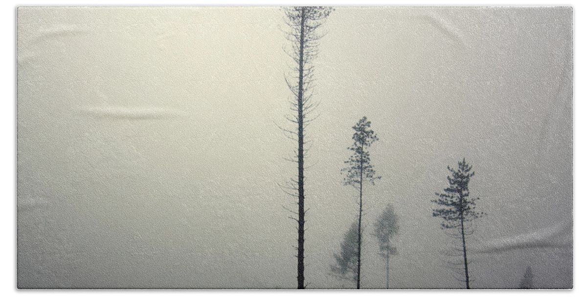 Mist Bath Towel featuring the photograph Out of the Gray Ashes by Michal Karcz