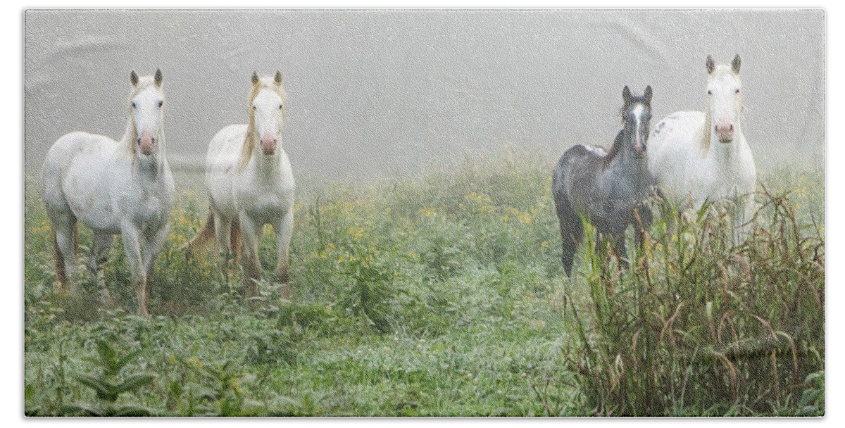 Wild Horses Hand Towel featuring the photograph Out of the Mist, 2 by Holly Ross