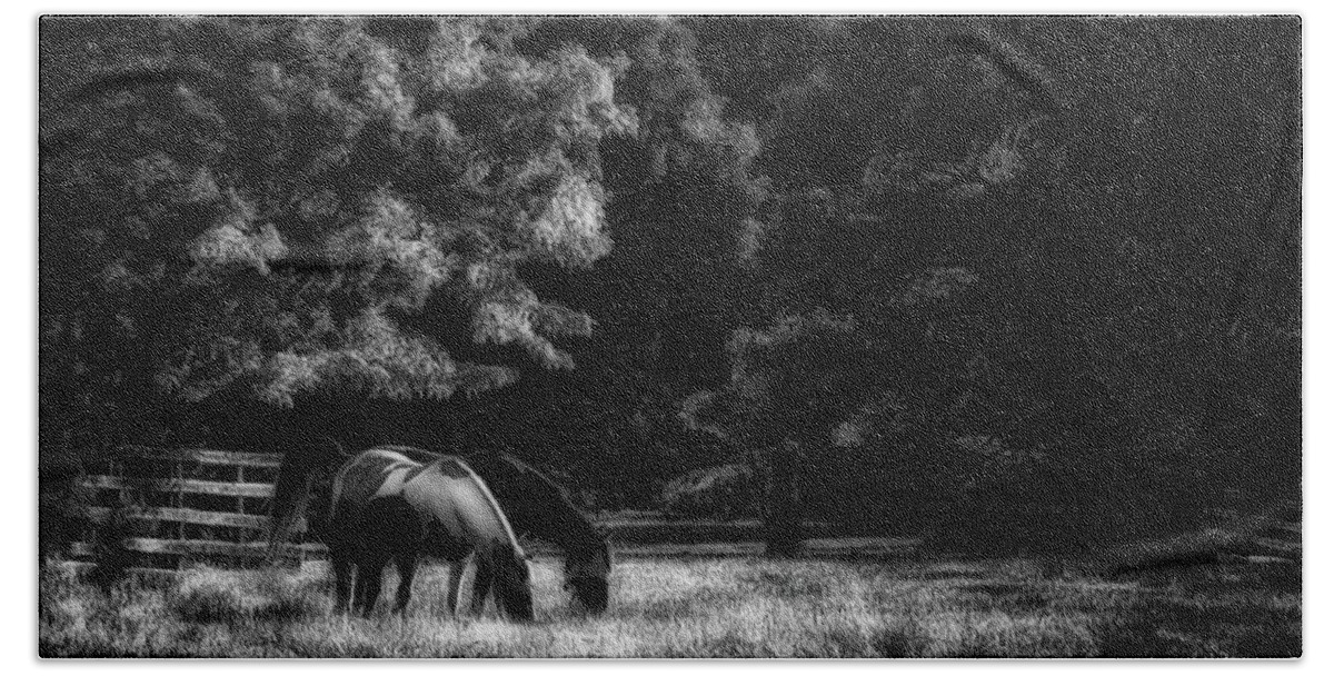 Horse Bath Towel featuring the photograph Out To Pasture BW by Mark Fuller