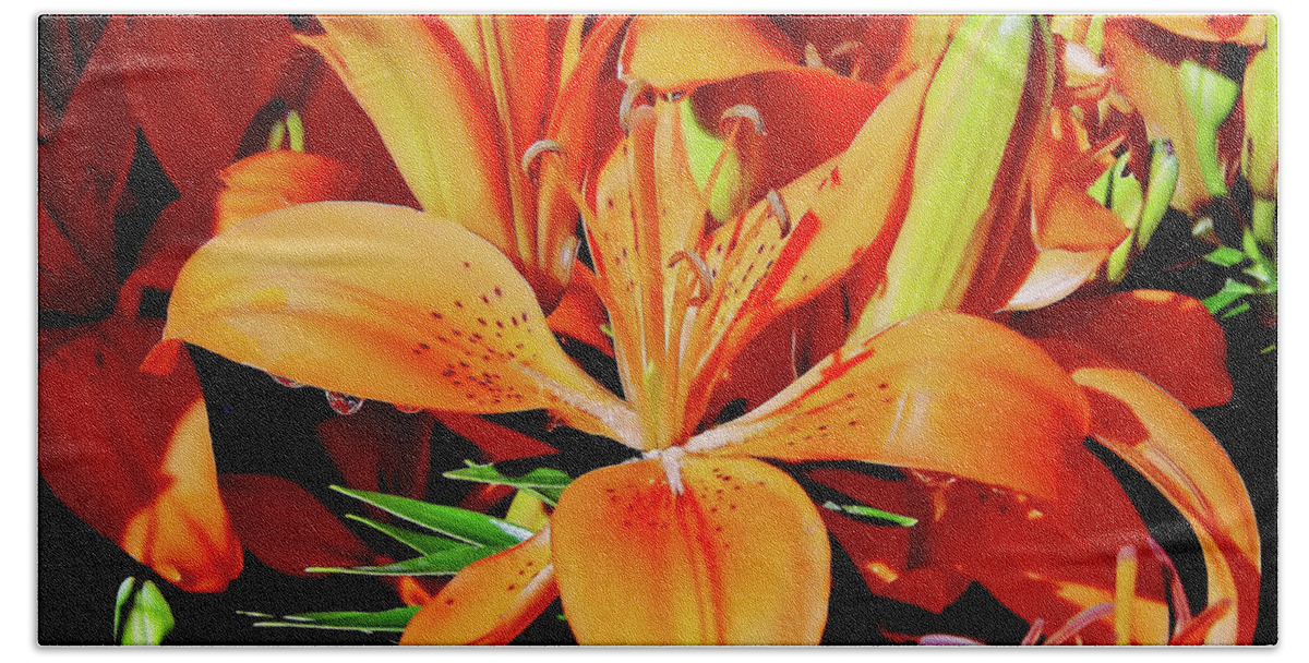 Orange Bath Towel featuring the photograph Outstanding Orange Tiger Lilies by D Hackett