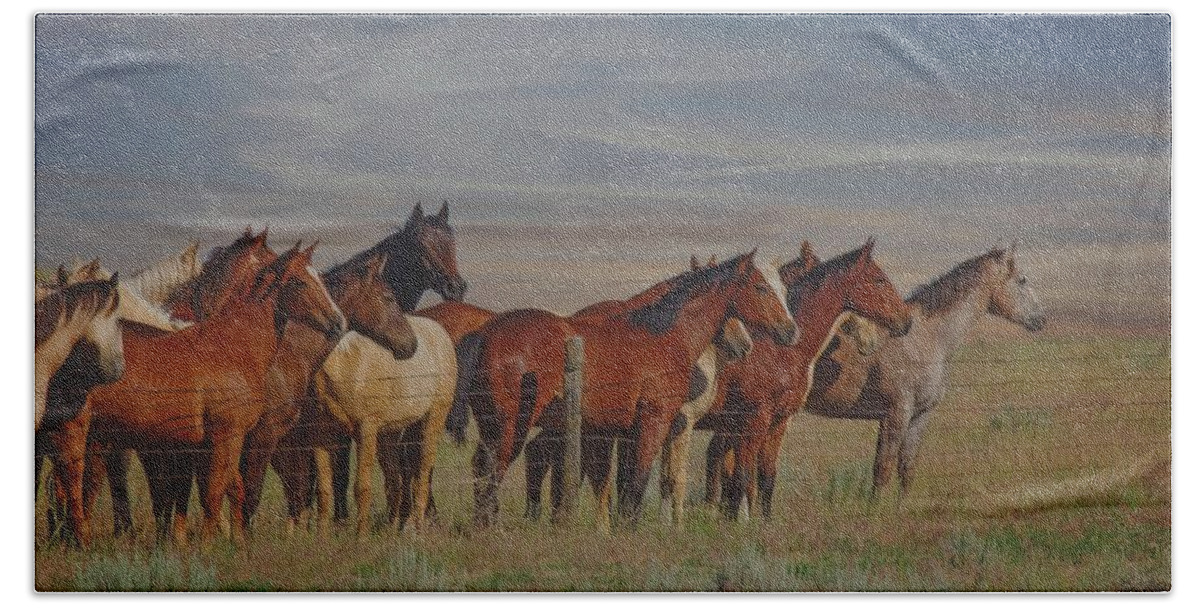 Horses Bath Towel featuring the photograph Over The Fenceline by Amanda Smith