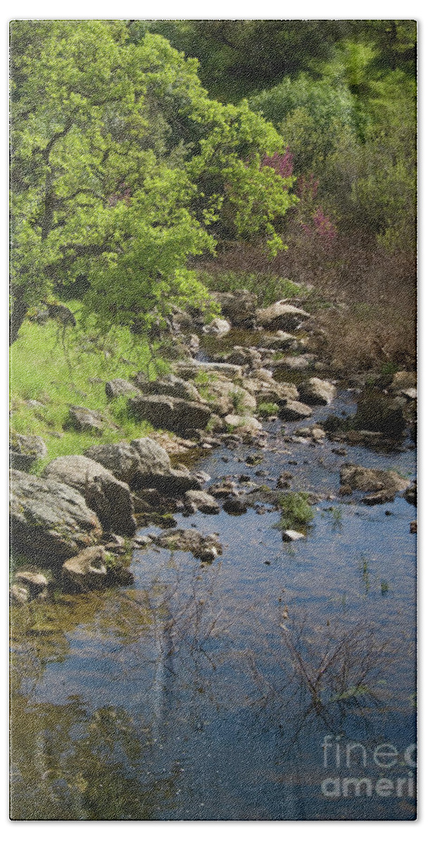Oak Bath Sheet featuring the photograph Owl Creek by Jim And Emily Bush