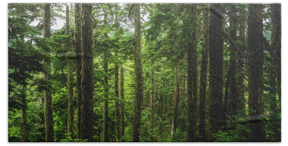 Scenic Bath Towel featuring the photograph Pacific Northwest Forest by Pelo Blanco Photo