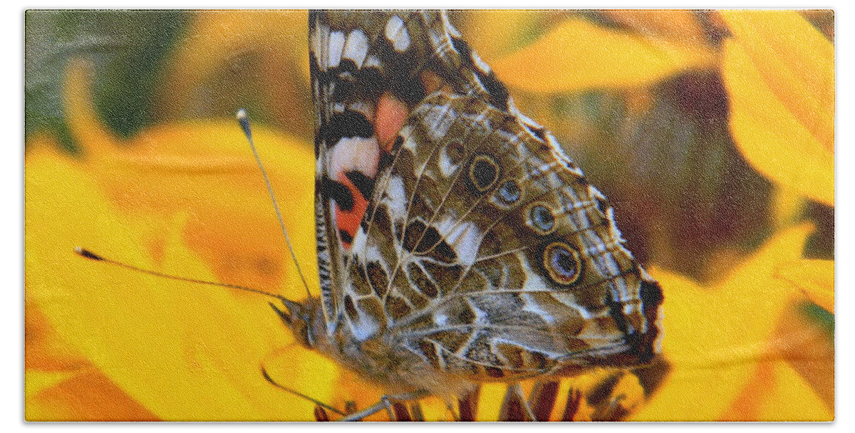 Butterfly Bath Towel featuring the photograph Painted Lady by Elfriede Fulda