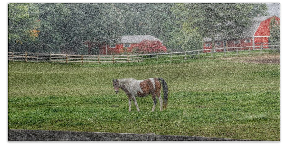 Horses Bath Towel featuring the photograph 1005 - Painted Pony in Pasture by Sheryl L Sutter